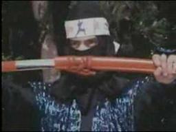 Ninja Strike Force (1988)