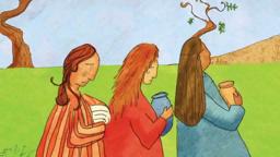 "God's Wonderful Surprise" -  Jesus Storybook Bible