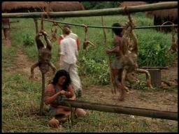 Flying Virus Theatrical Trailer