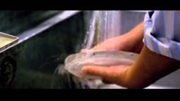 Bending The Light Official Trailer 2014   Michael Apted Photography Documentary HD