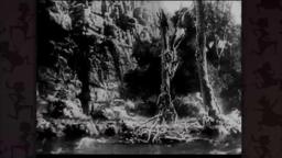 Mick Garris on SON OF KONG