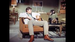 The Barefoot Executive (1971) ♦RARE♦ Theatrical Trailer