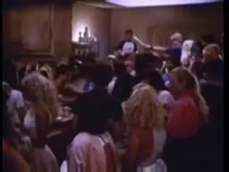 The Wild Life (1984)