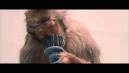 (Untitled)  - Trailer (2009)