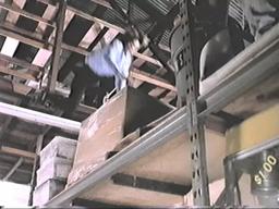 Sirens Pitch Presentation: Featuring Fergie