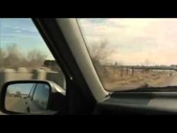 kase ryo (The Passenger, 2005)