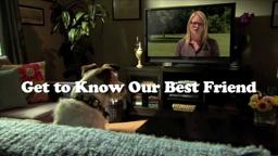 A Dog's Life Tip - Can My Dog See Colour?