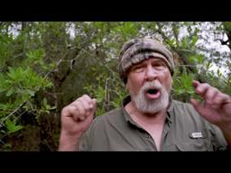 Bigfoot prophecy  For those that believe