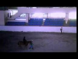 Sedutan Puteri Impian