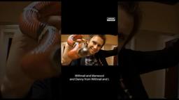 Which film inspired Peep Show?