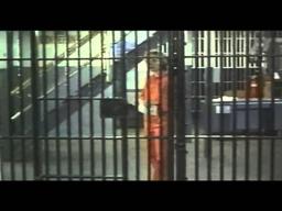 Hurricane Streets Trailer 1998