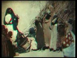 Rive Del Nilo Banks of the Nile year 1911 kinemacolor