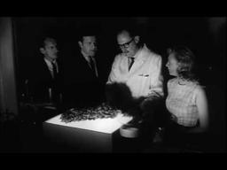 The Horror of Party Beach (1964) trailer