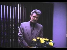 The Heist Trailer 1989