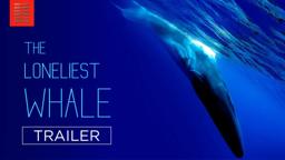 THE LONELIEST WHALE | Official Trailer | Bleecker Street