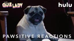 PAWsitive Reactions