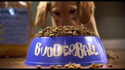 Air Buddies - Trailer