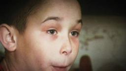 Sins Of The Father A Very British Gangster 2