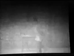 The Escaped Lunatic (American Mutoscope and Biograph Company,1904)