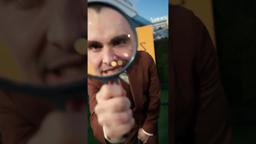 From the pond to the premiere