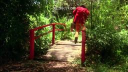 GINGER MEGGS WEB TRAILER