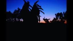 DEATH ORCHARD MOVIE TRAILER