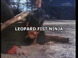 LEOPARD FIST NINJA