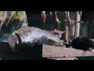 Primeval - Official Trailer