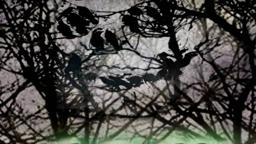 1013 Briar Lane - Leave the lights on