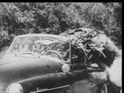 The Creeping Terror (1964) - trailer