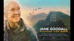 Jane Goodall - Reasons For Hope Trailer