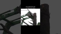 How To Film In A Tree - USING A TRACTOR