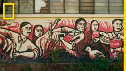 Blood On The Wall | Trailer