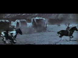 Don't Make Waves - Available Now on DVD