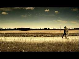 The Triumph of Dingus McGraw: Village Idiot - Running With A Picket Fence