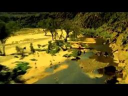 Kangaroo Jack Official Trailer!