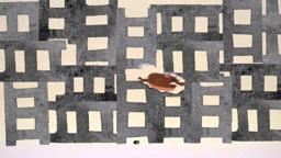 Your Friend The Rat - Trailer