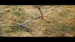 Those Magnificent Men In Their Flying Machines Trailer [HD]