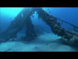 Dolphins In The Deep Blue Ocean (Trailer)