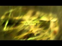 THE ARBOR - OFFICIAL UK TRAILER