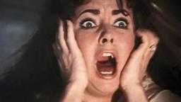 Secret Ceremony (1968) ORIGINAL TRAILER [HQ]