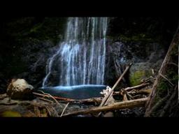 Twilight In Forks - Extended Trailer