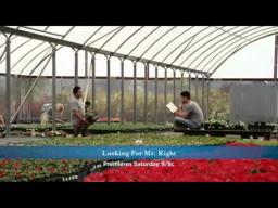 Hallmark Channel - Looking For Mr. Right