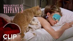 BREAKFAST AT TIFFANY'S | "Waking Up" Clip | Paramount Movies