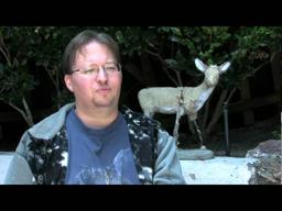 Ecstasy of Order: The Tetris Masters (Official Trailer)