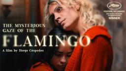 The Mysterious Gaze of the Flamingo - Trailer