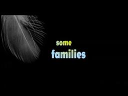 BIRDS OF AMERICA Trailer