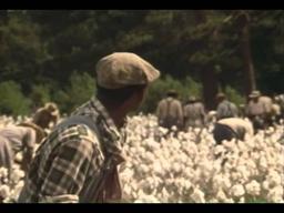 Once Upon A Time, When We Were Colored Trailer 1996