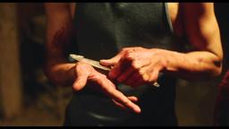 Songs My Brother Taught Me