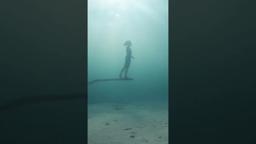 🎥 Teaser BAKELITE, by/de Julie Gautier | #SickOfPlastic campaign/campagne